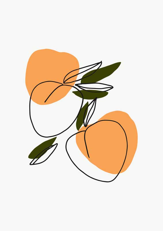 块猫回家re06回家导航网站